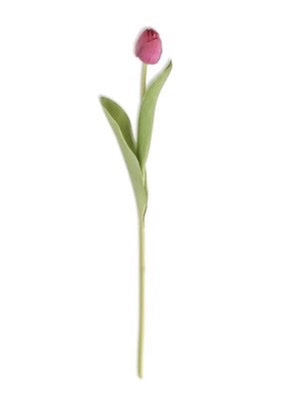 26.75 Inch fuchsia silk with real touch single tulip stem