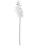 34.5 inch white orchid stem
