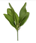 13 Inch real touch 5 orchid leaves stem