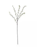 46 Inch Pink Hoary Willow Spray