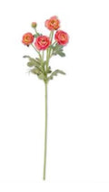 26 inch pink ranunculus spray