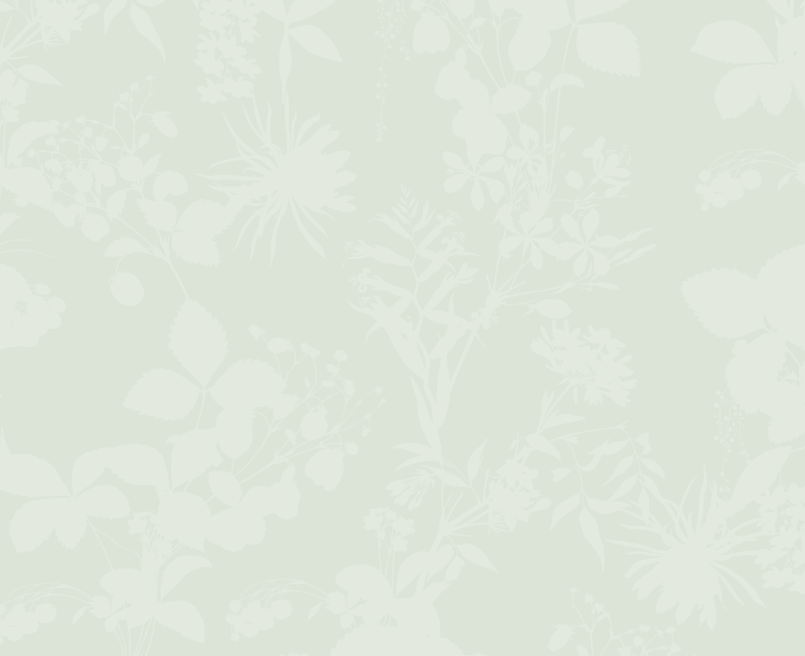 Solid light gray color swatch